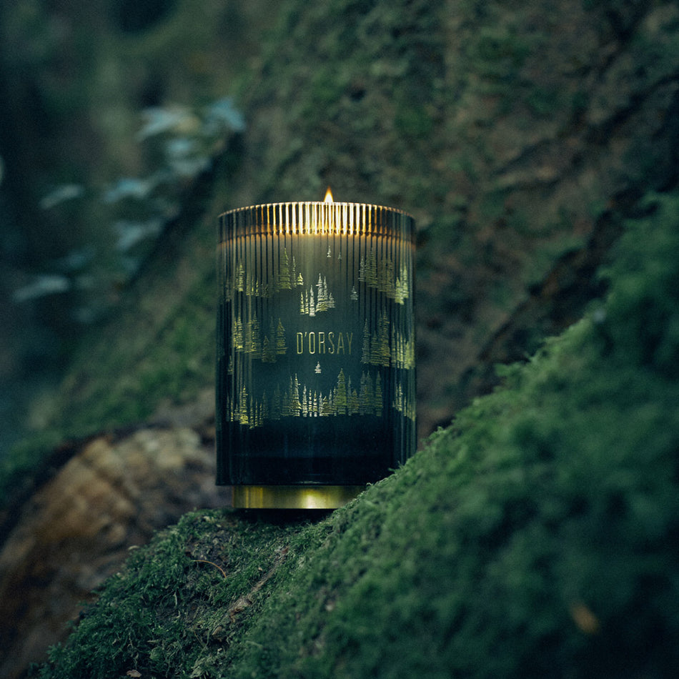 18:18 Hutan Imajinasi