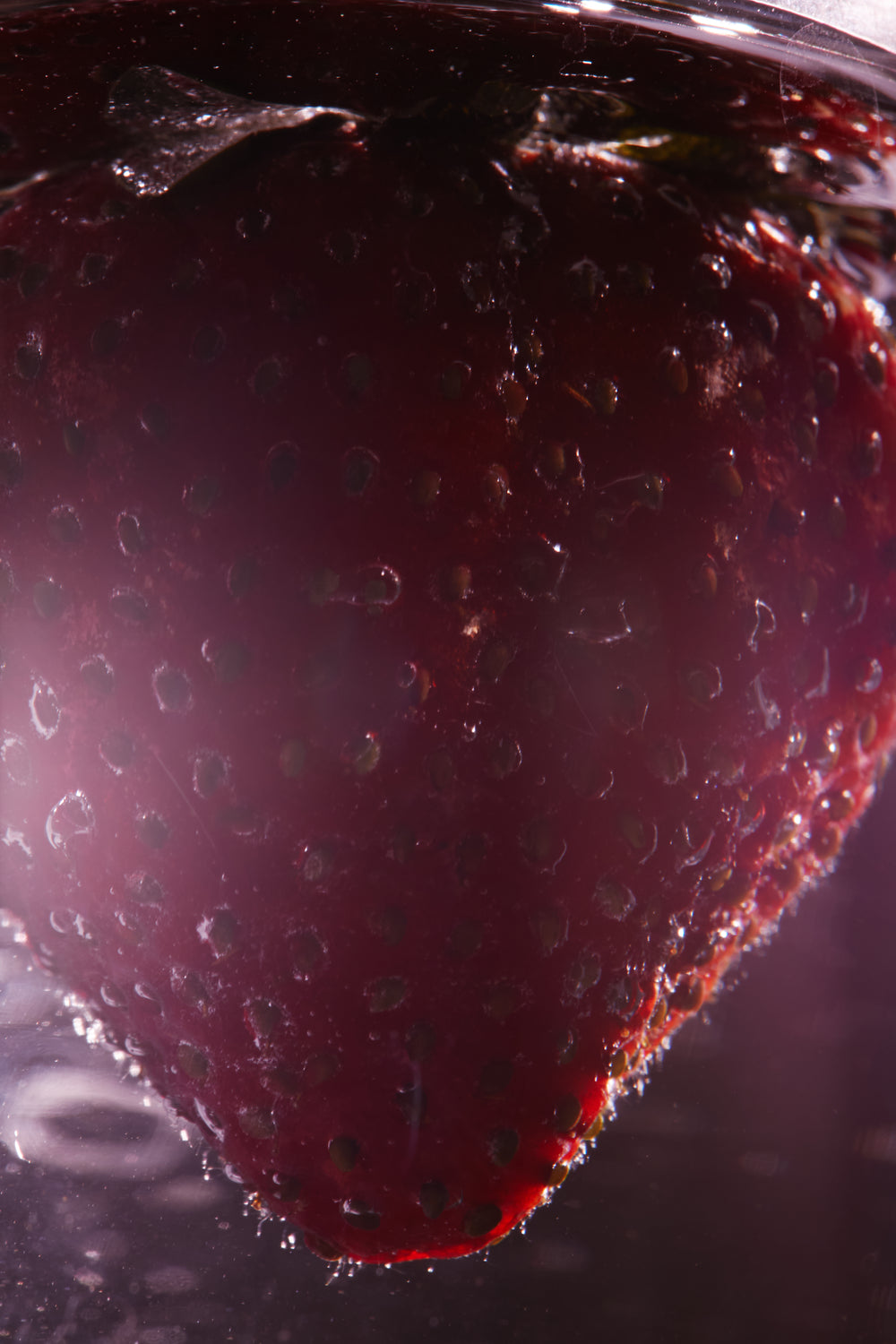 STRUKTUR OLFATIF YANG UNIK