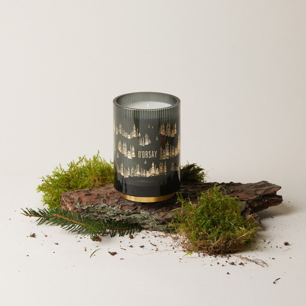 18:18 Hutan Imajinasi