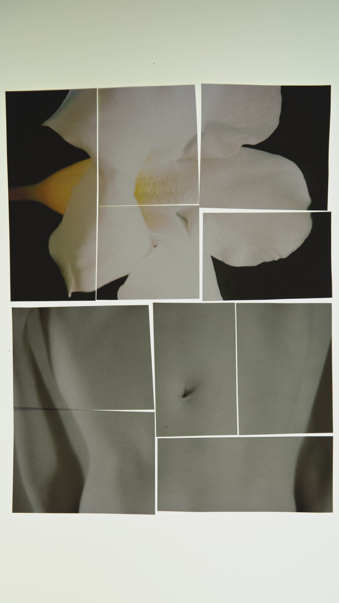 Interprétation des Extraits de Parfum par Agathe Berjaut | D'ORSAY Paris