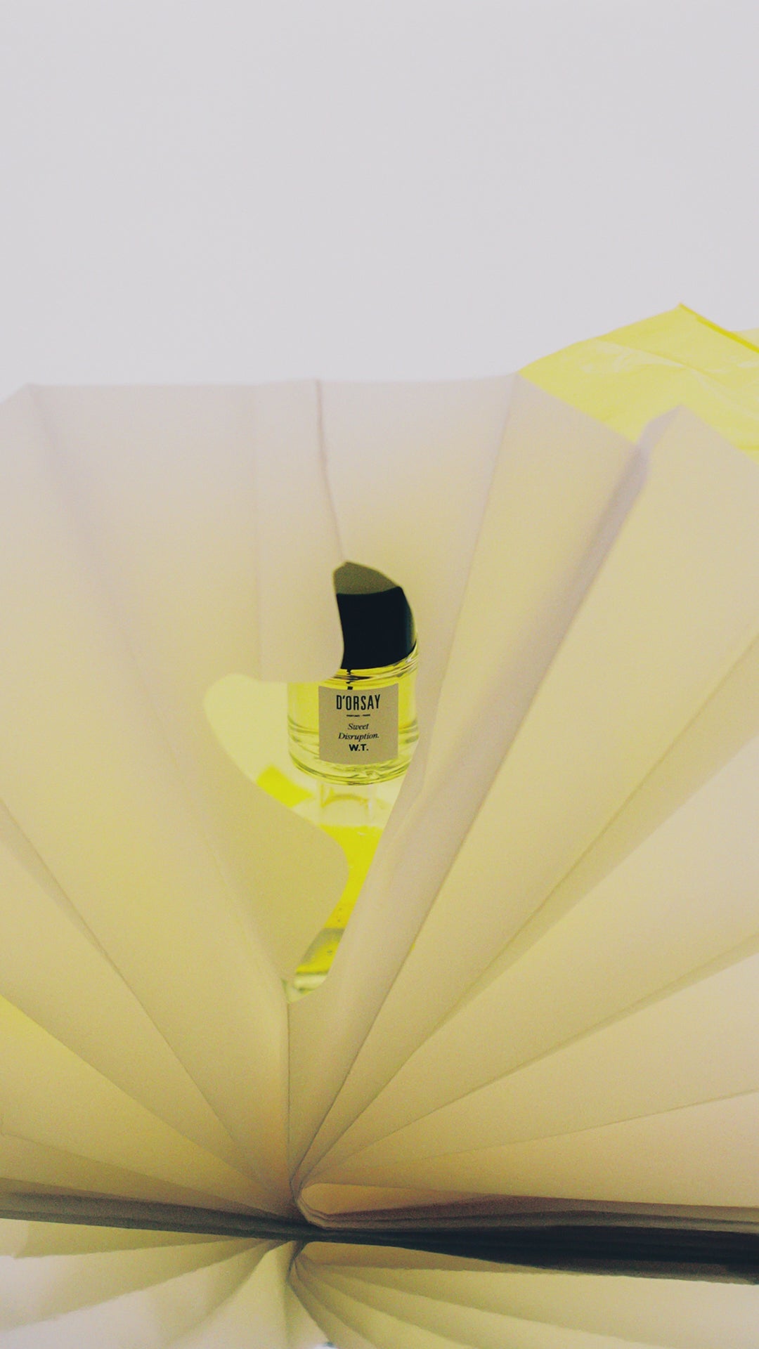 Eau de Parfum Sweet Disruption. W.T. 50ml | D'ORSAY Paris