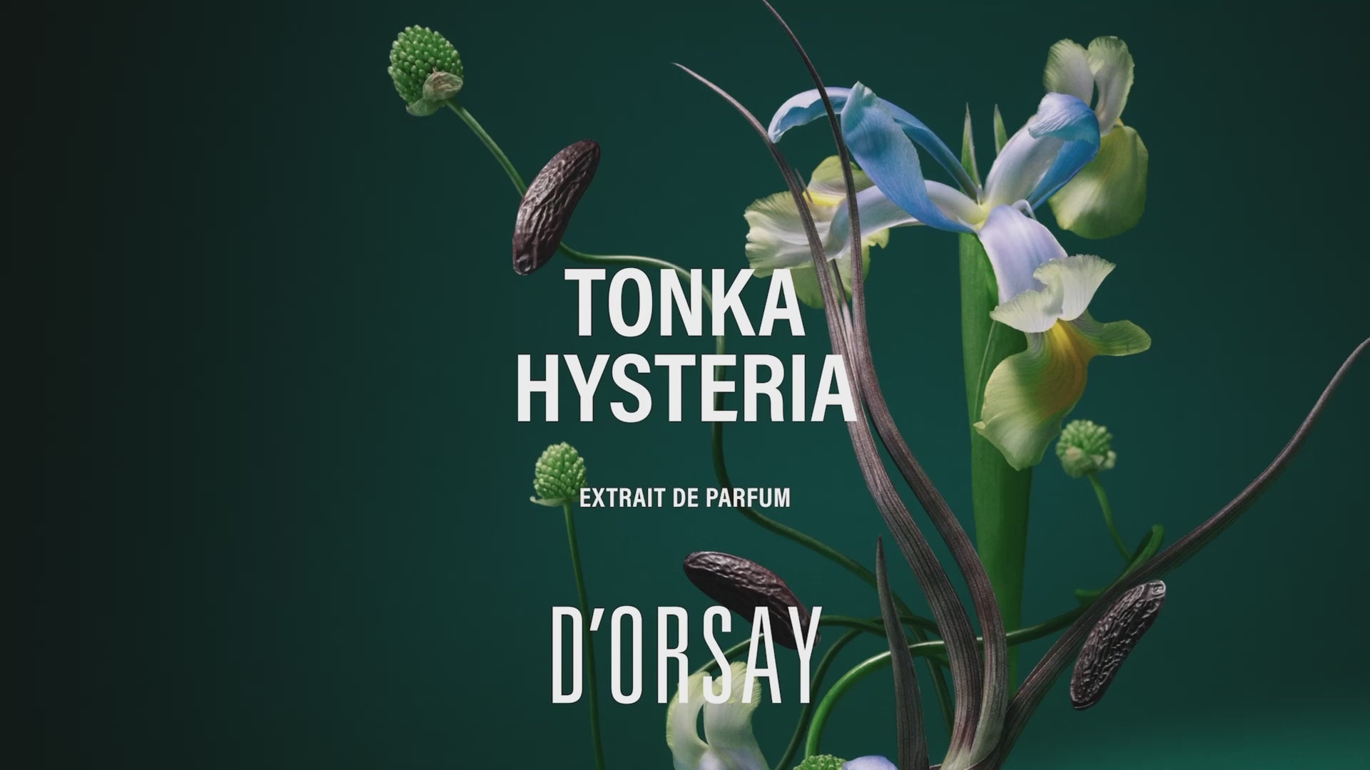 Interview Jordi Fernandez - Extrait de Parfum Tonka Hysteria | D'ORSAY Paris