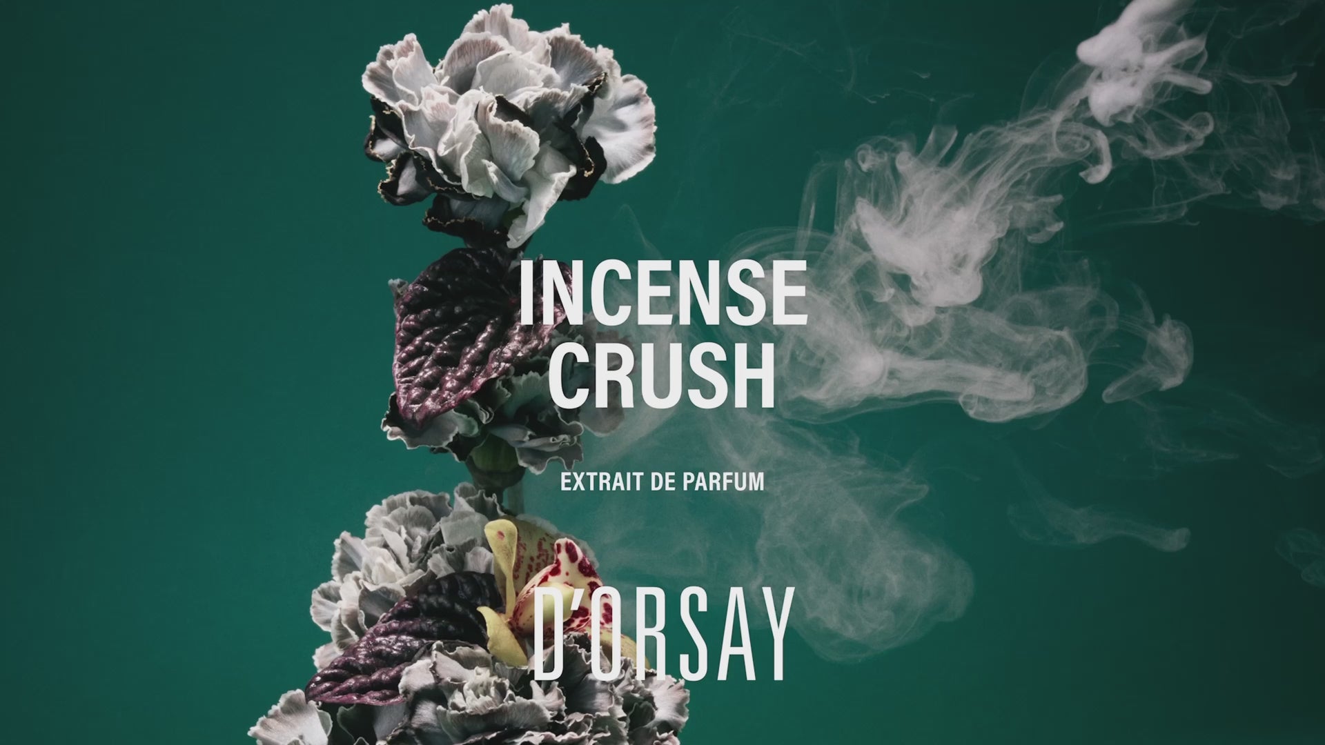 Interview de Julien Rasquinet - Extrait de Parfum Incense Crush | D'ORSAY Paris