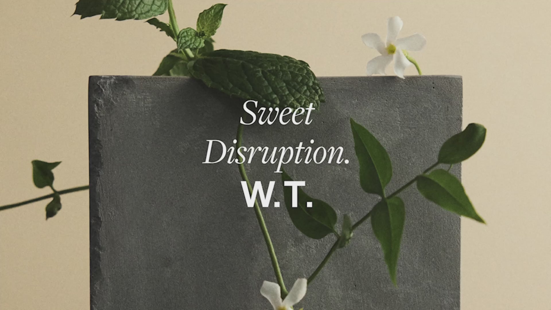 Interview Jean-Christophe Héraut - parfumeur Eau de Parfum Sweet Disruption. W.T. | D'ORSAY Paris