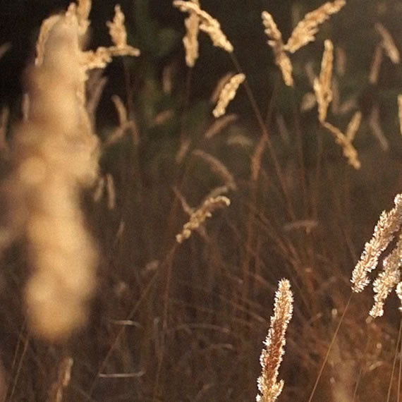 AKU YANG TERBAIK. M.A.